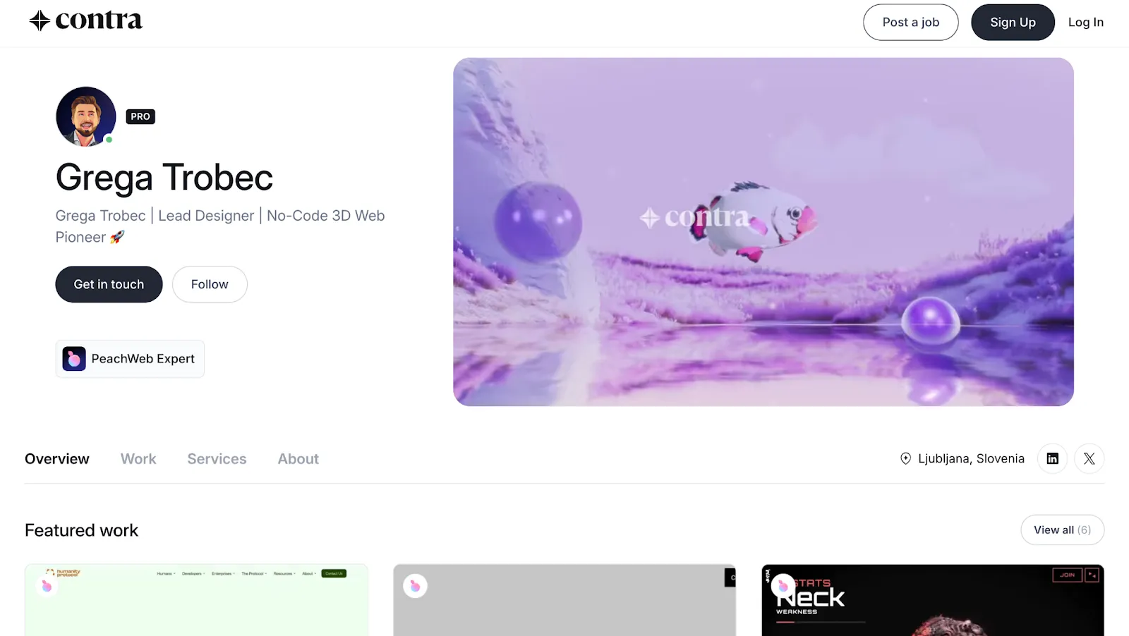 Screenshot of a freelancer's Contra profile page