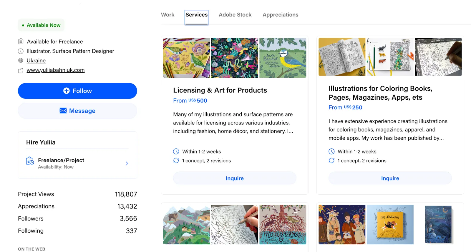 Screenshot of an illustrator's services and stats page